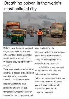 Delhi news report