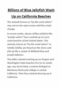 Jellyfish news report